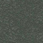 B901 Gray Antique 10pt Coated Papers