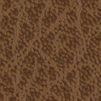 B964 Light Brown Safari 10pt Coated Papers