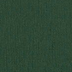 G539 Green Vellum C Cloth